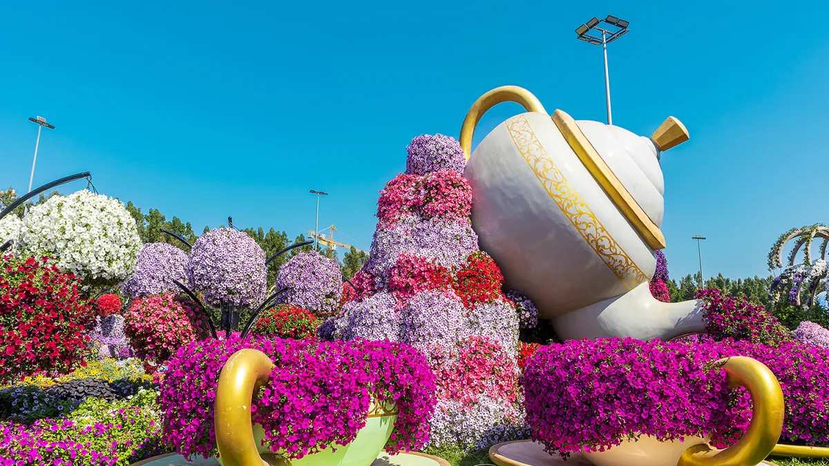 Activity Image - Miracle Garden_65a2b164ec791.webp